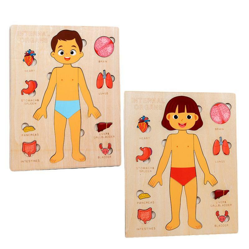 Головоломка человеческого тела, прочные безопасные Обучающие игрушки Монтессори, деревянная анатомическая головоломка, игрушки для детей, красочные обучающие игрушки