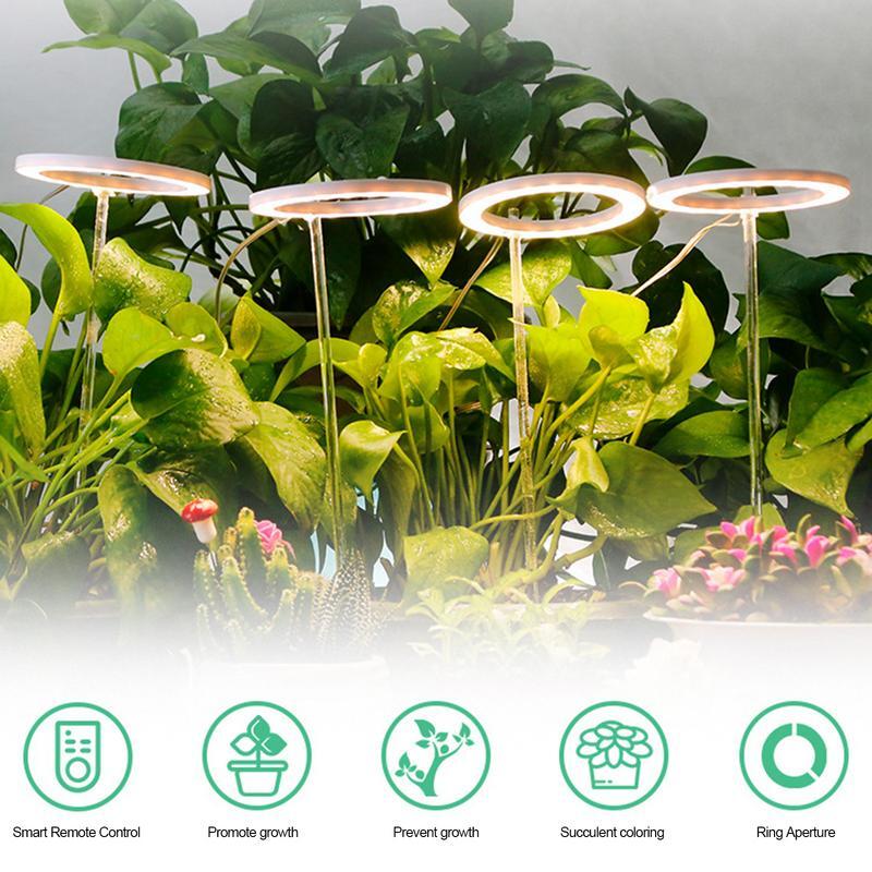LED Grow Light Full Spectrum Phyto Grow Lamp USB Phytolamp per piante lampada 5V per l'illuminazione della crescita delle piante per piante da interno