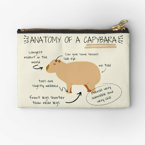 Anatomi dari Capybara kantong ritsleting celana dalam koin uang pria kecil kunci dompet penyimpanan murni kosmetik wanita saku kaus kaki pakaian dalam