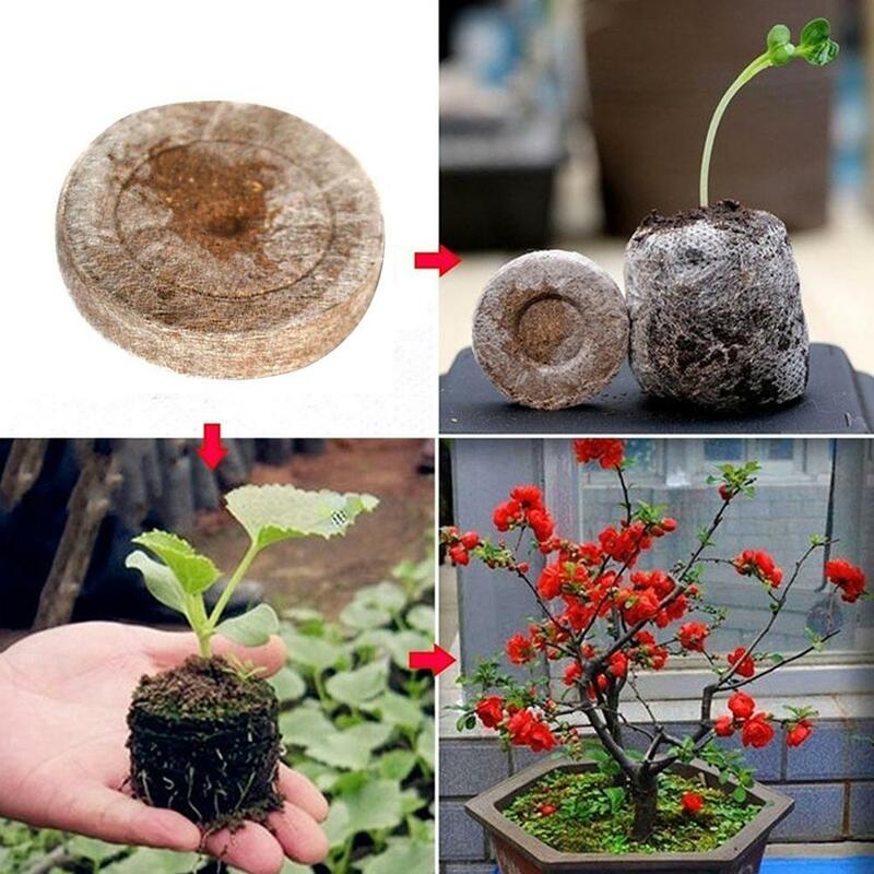 苗発芽ブロック,30mm,苗床,種子および園芸用品を植えるための圧縮ピットペレット