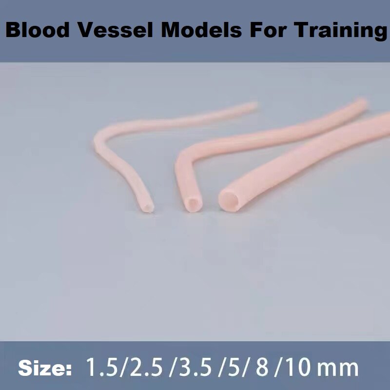 الأوعية الدموية البشرية نماذج جراحة الأوعية الدموية نماذج التدريب للتدريب