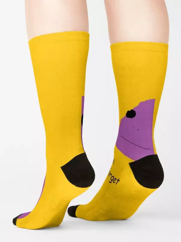 Calcetines de lagarto motivacional para hombres y mujeres, regalos de invierno, calcetines sueltos