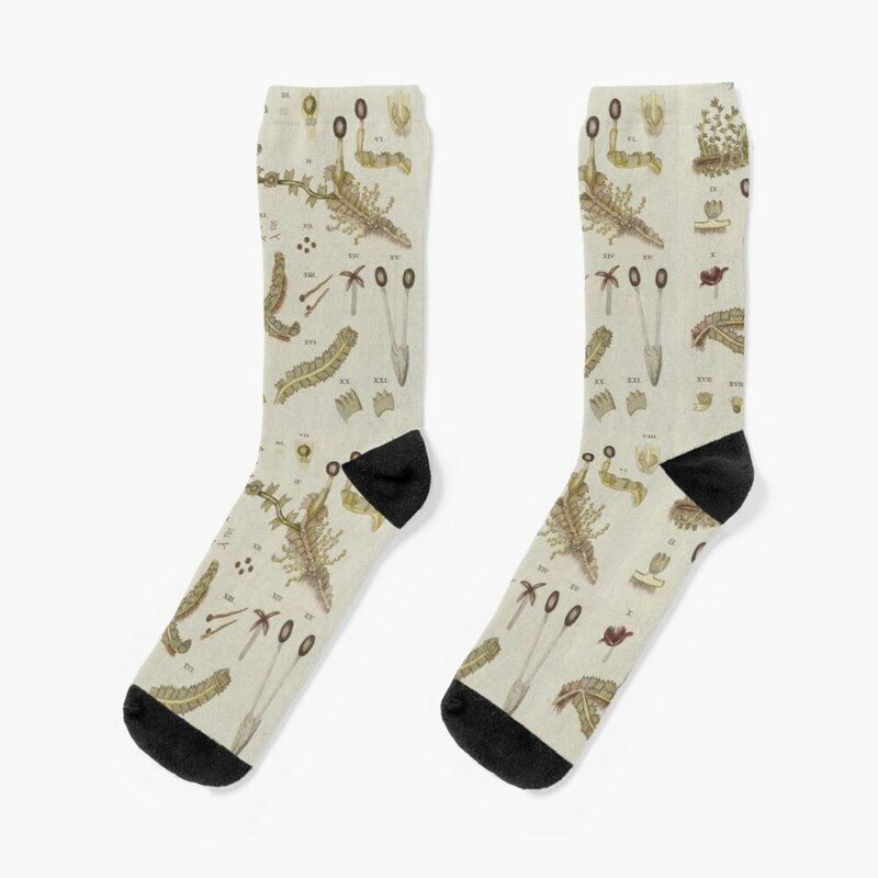 Antike Botanik Socken Winter Socken Mann