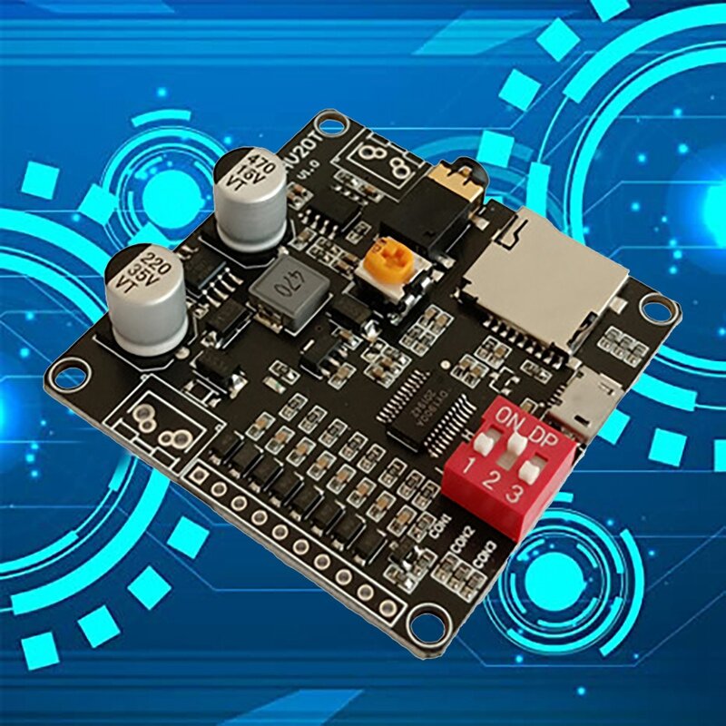 DY-HV20T modulo di riproduzione vocale alimentatore 12V/24V supporto amplificatore 10W/20W scheda Micro-SD lettore musicale MP3 per Arduino