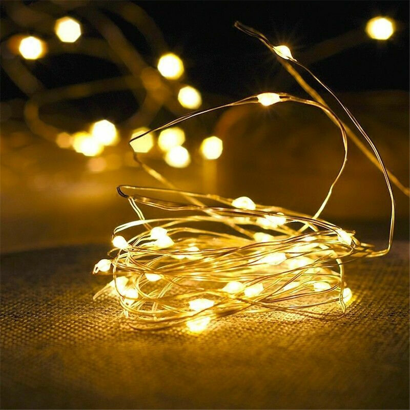 Baru 20-20 100 lampu peri LED tali baterai tembaga kawat perak pesta Natal