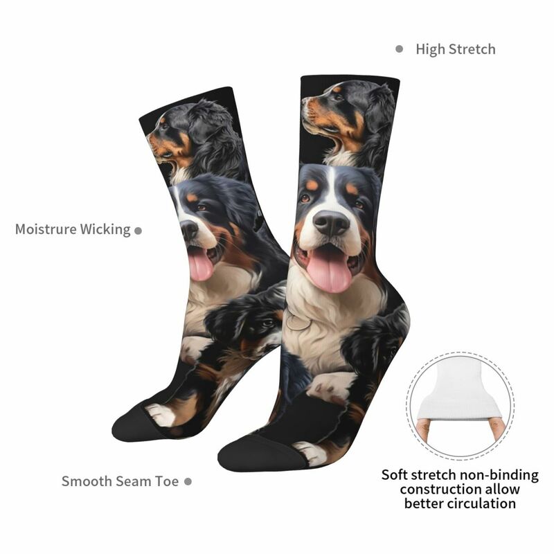 Носки Bernese Mountain Dog, поглощающие пот чулки в стиле Харадзюку, всесезонные длинные носки, аксессуары для подарка унисекс