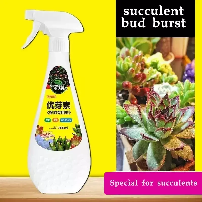 Succulent plant Eugenin promotes budding, dwarf fat, prevents leggy organic granules, succulent, and succulent 300ml