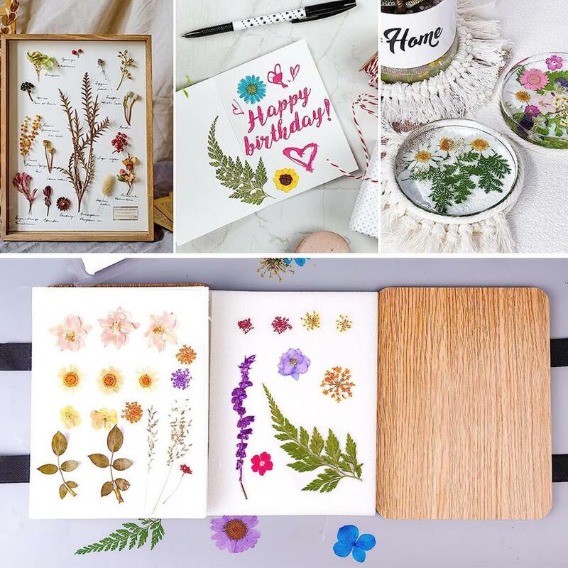 مجموعة أدوات ضغط الزهور تصنعها بنفسك ، لوح خشبي لنباتات الزهور المجففة ، أداة فنية للأطفال والكبار والمبتدئين وعشاق الحرف اليدوية