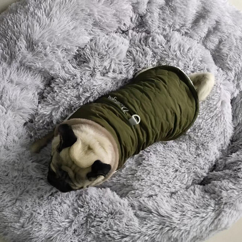 CDDMPET 방수 모피 칼라 개 재킷, 겨울용 따뜻한 양털 강아지 옷, 소형견용 애완 동물 조끼, 치와와 요크키 퍼그 코트