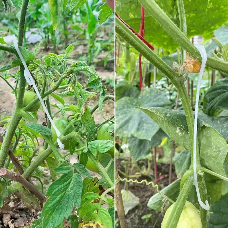 토마토 지지 J 후크 식물 지지 야채 클립, 토마토 과일 무리가 끼거나 떨어지는 것을 방지, 13 cm, 16cm