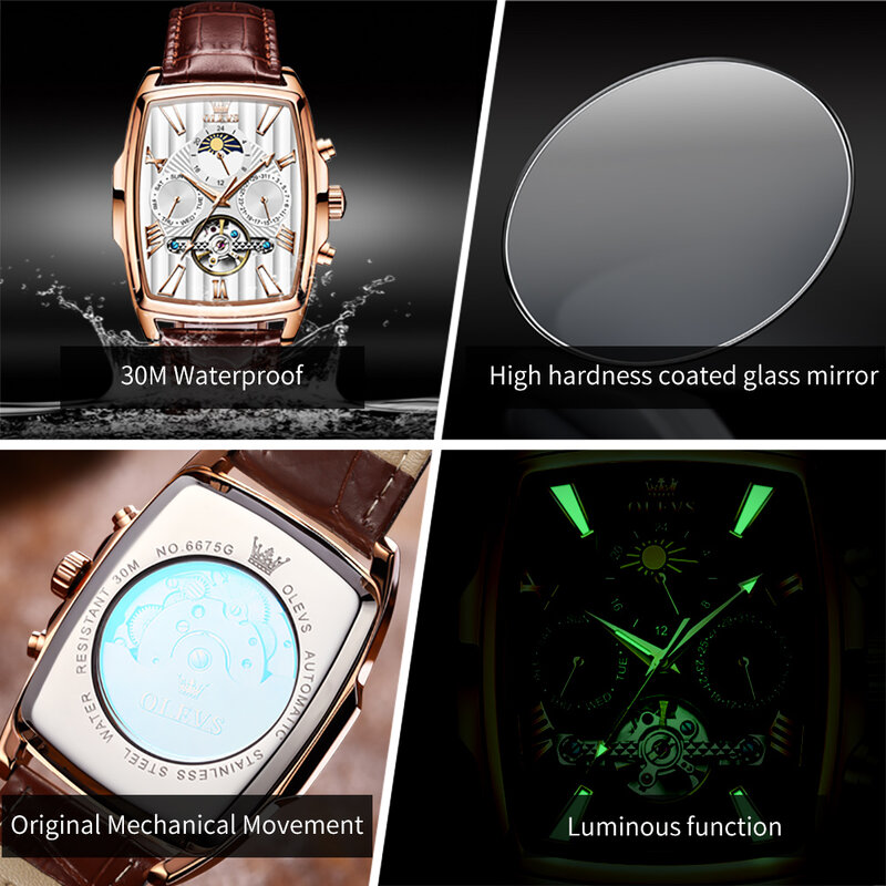 OLEVS-Relógios Mecânicos Automáticos Masculinos, Relógio Turbilhão de Luxo, Relógio de pulso impermeável, Pulseira de couro