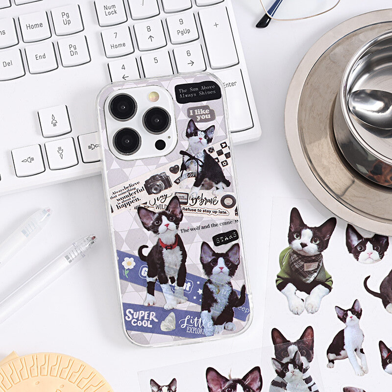 Kawaii naklejki z kotami opakowanie wodoodporne PET słodkie naklejki dla scrapbookingu naklejki papeterii estetyczne