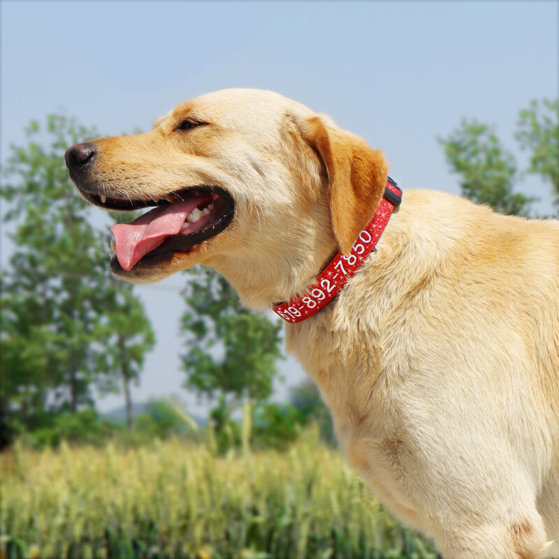 Ajustável Nylon Bordado Dog Collar, Custom ID Name Acessórios, Pet Coleiras para Pequenas Médias Grandes Cães, Animais de estimação Suprimentos