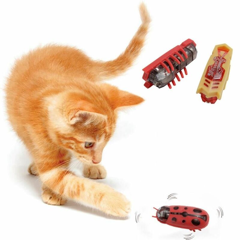 재미있는 고양이 놀이 장난감, 전기 강아지 고양이 놀이, 인터랙티브 플라스틱 벌레 개 놀리기, 훈련 용품, 애완 동물 제품