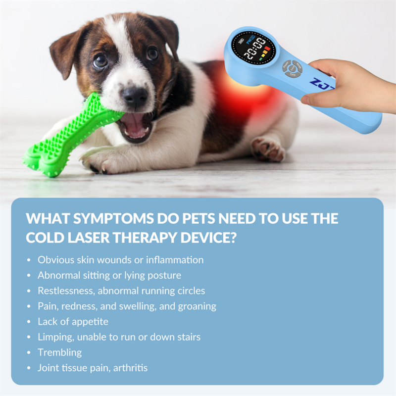 Laser portátil portátil para pernas e joelhos articulares, cura a frio de baixo nível, alta frequência, lesões esportivas terapêuticas humanas e animais
