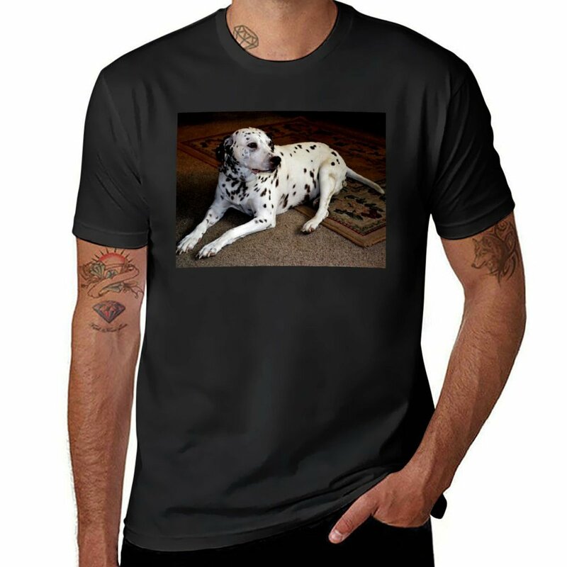 다크 브라운 반점 맞춤형 티셔츠, 소년 동물 프린트, 남성용 팩