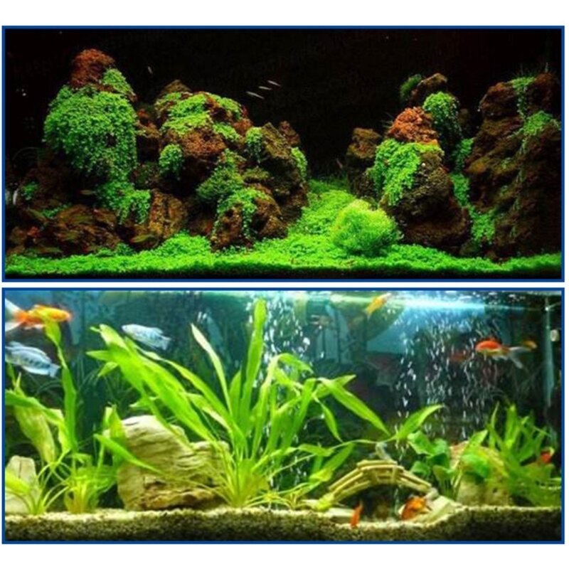 25 шт. аквариумные растения-подводный гель-Быстросохнущий безопасный клей для коралловых тонущих деревянных коралловых кораллов