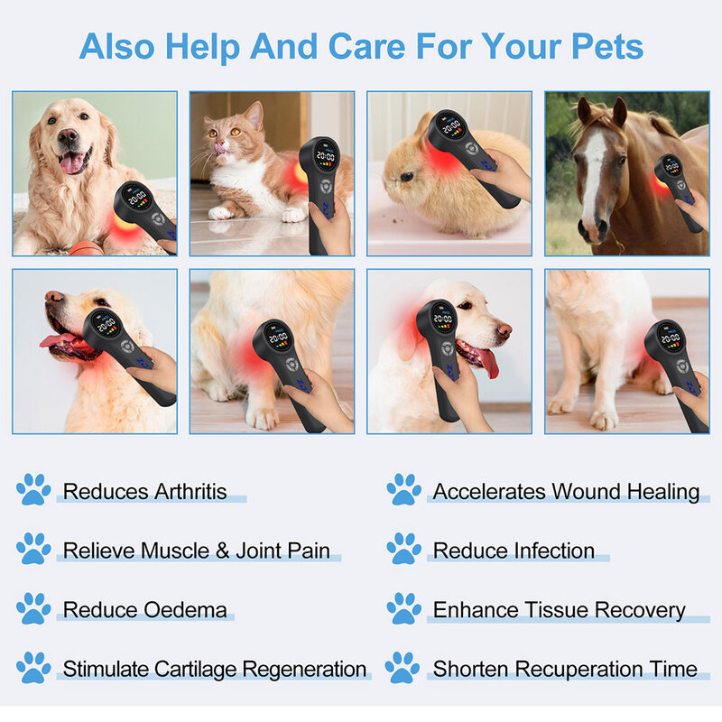 ZJZK-terapia láser de 810nm, dispositivos médicos, lesiones deportivas, uso para mascotas y humanos, curación de heridas con gafas de protección, 1760mW