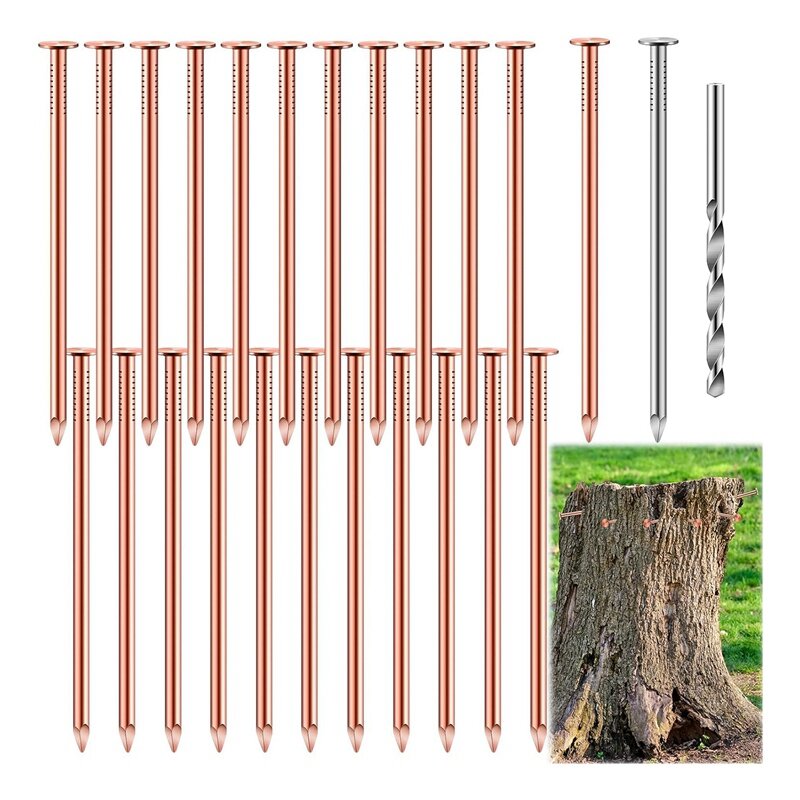Pure Copper Nails Bulk Stump Removal Spikes, Hardware Pregos para Árvores, 25 Pcs, 3,5"