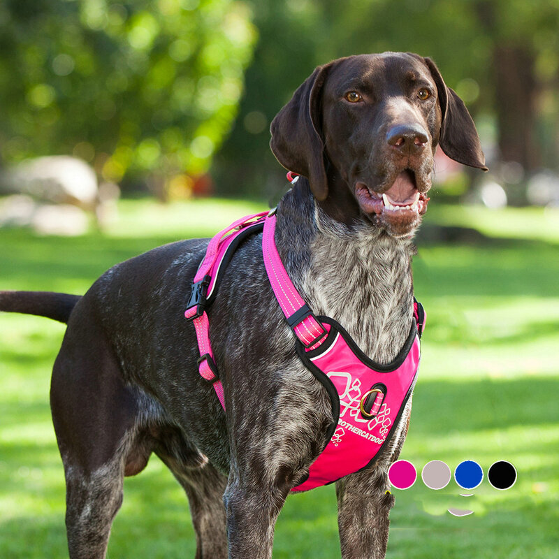 Chaleco de arnés resistente y duradero para perro, mochila profesional para caminar al aire libre con asa para animales grandes, Labrador Retriever