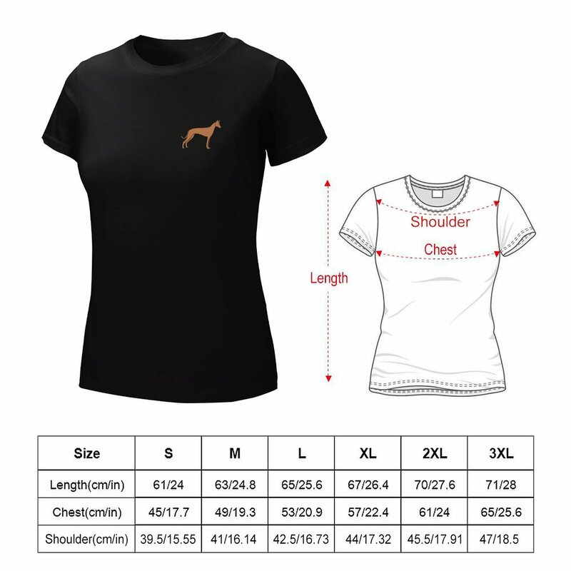 T-shirt Pharaoh Hound para mulheres, ilustração fofa, tops plus size