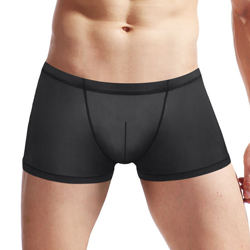 Heren Sexy Zijden Lingerie Doorzichtig Low-Rise Mesh Boxer Shorts Onderbroek Voor Heren
