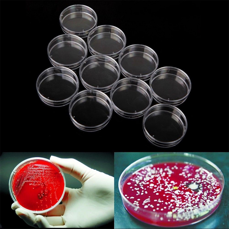 Juego de platos de Petri de 20 piezas con tapas, cultivo para la Escuela de Ciencias, experimento, biología, estudios de microbiología, 60MM