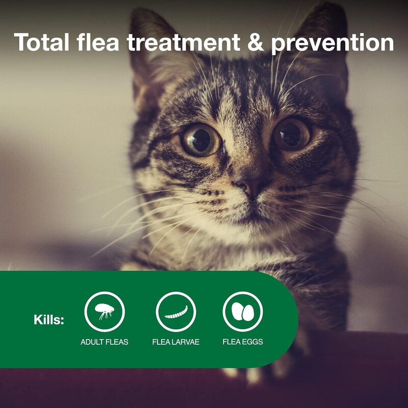 작은 고양이 수의사-벼룩 치료 및 예방 권장 고양이, 5-9 파운드, 6 개월 공급