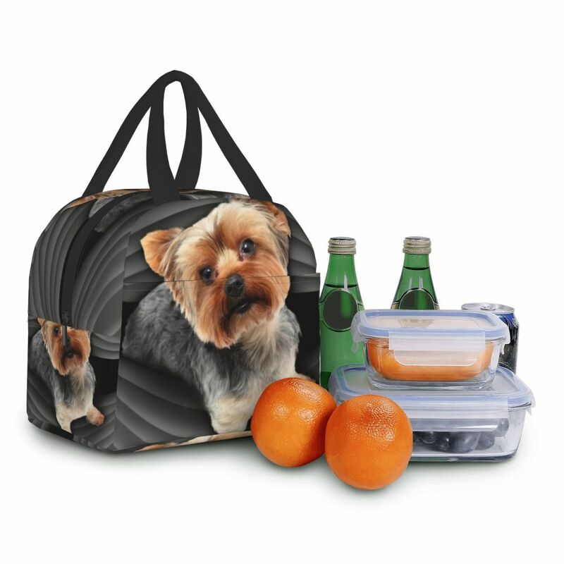 يوركشاير تيرير معزول حقيبة الغداء للمدرسة مكتب يوركشاير الكلب جرو مانعة للتسرب الحرارية برودة بينتو صندوق النساء الاطفال