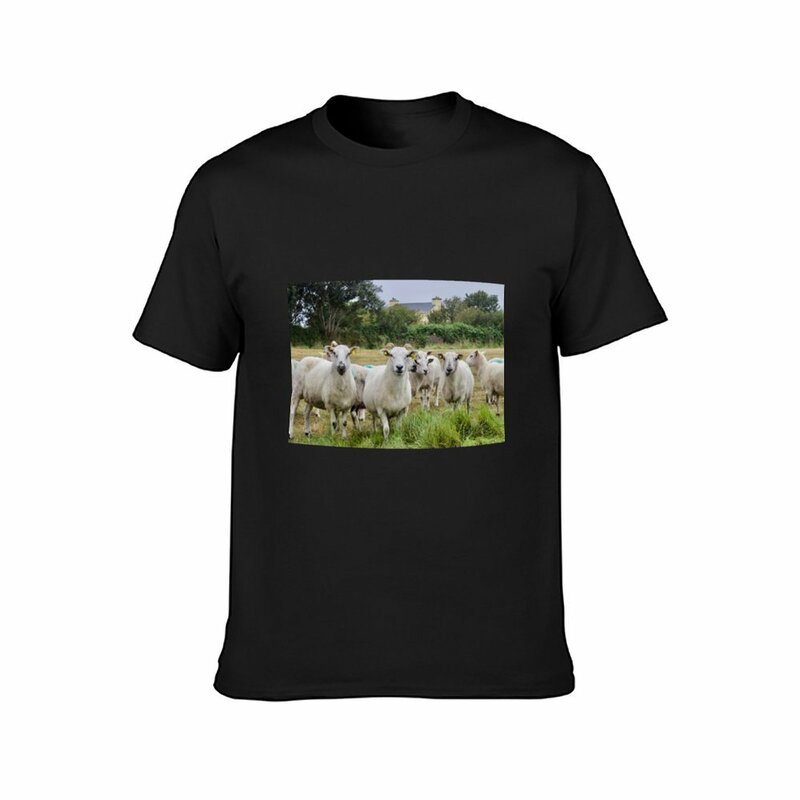 Koszulka z owcą w polu na lato topy z motywem zwierzęcym dla chłopców odzież męska