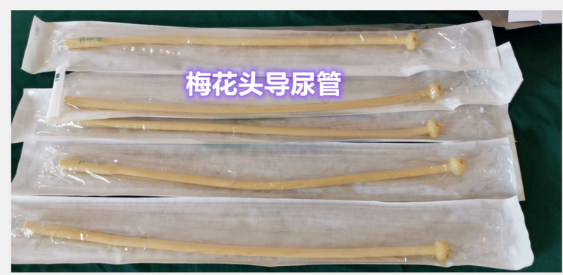 24 Pcs Disposable Sterile Plum Blossom Head Urinary Drainage Tube Fungus Mushroom 4-hole Latex Urinary Catheter