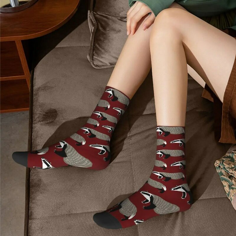 Европейские носки барсука, поглощающие пот чулки в стиле Харадзюку, всесезонные длинные носки, аксессуары для подарка на день рождения унисекс