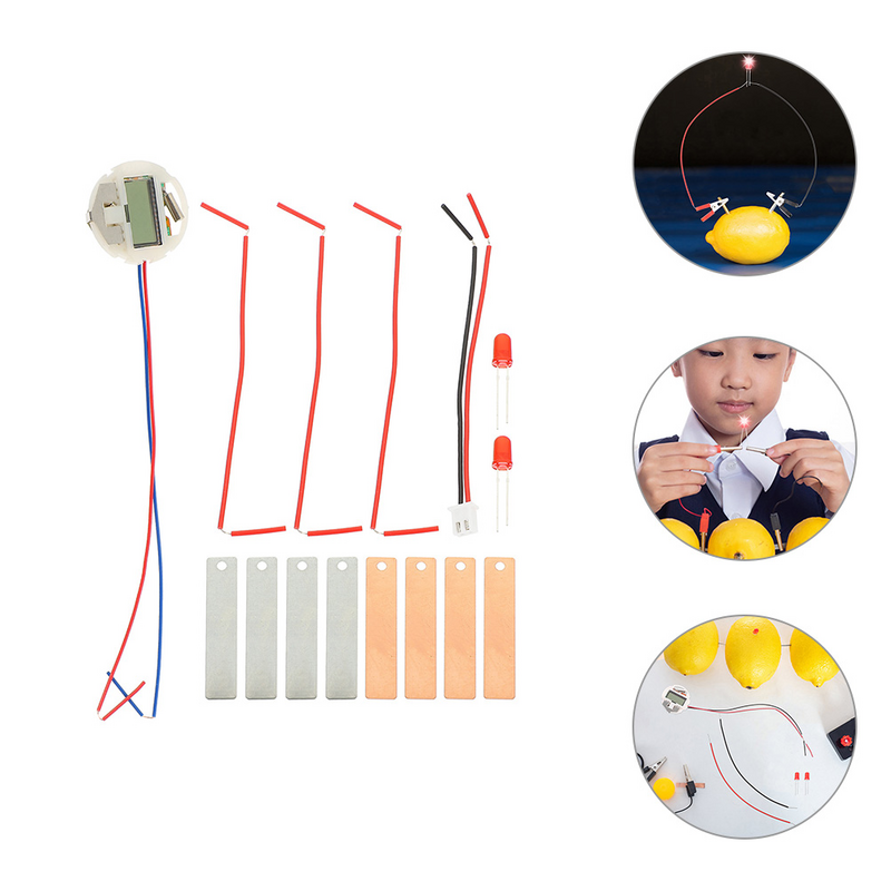 2 set di giocattoli scientifici per studenti di frutta educativi per esperimenti scientifici di frutta
