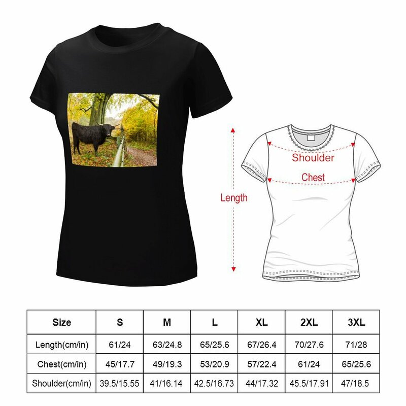 하이랜드 소 및 가을 날 티셔츠, 동물 프린트 셔츠, 소녀 플러스 사이즈 상의, 여성 의류