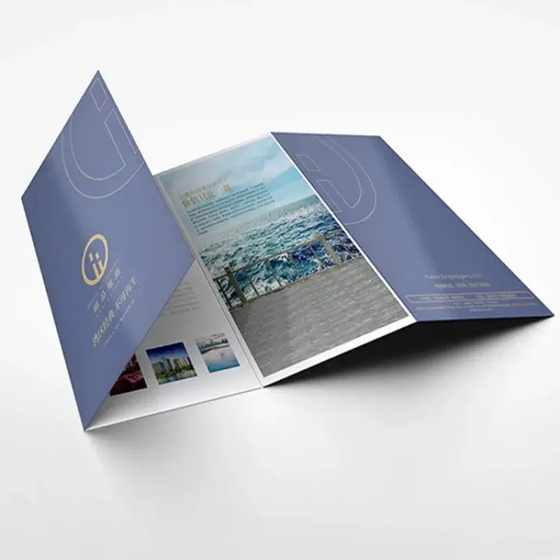 Product Op Maat. Hoge Kwaliteit Full Color Flyer Afdrukken Vouwkaarten Folder Gedrukt Brochure Print Boekje