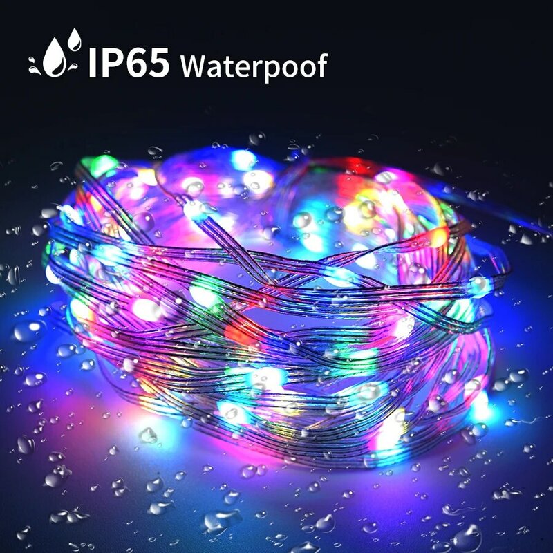 20m RGBIC LED String Light WS2812B RGB Fairy Christmas Lights Bluetooth USB 5V Addressable Individually Music APP Dream Color