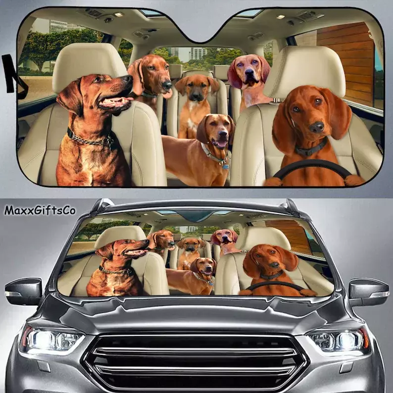 Redbone Coonhound Car Sun Shade, Redbone Coonhound Windshield, Dogs Family Sunshade, Dogs Car Accessories, Car Decoration, Dogs