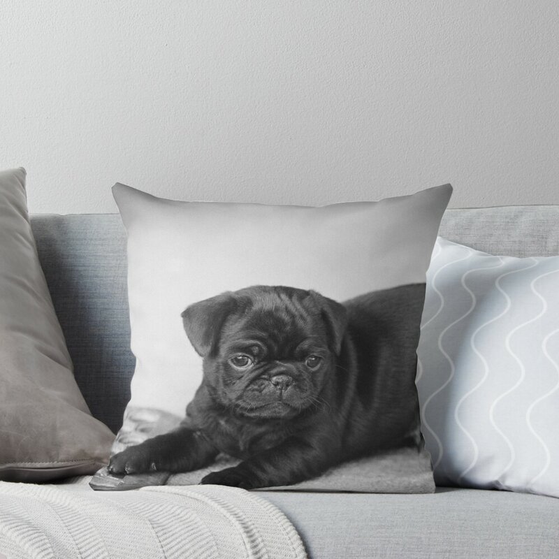 Black Pug Puppy Throw Pillow para Sofá Decorativo, Pillow Cover, Pronto para Jogar, Luxo