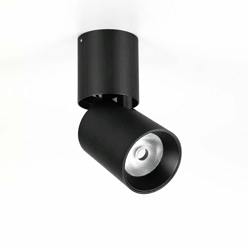 Plafoniera a LED dimmerabile COB plafoniera AC110V 220V 10W 15W sorgente luminosa montata su superficie bianca/nera 350 ° girevole per interni