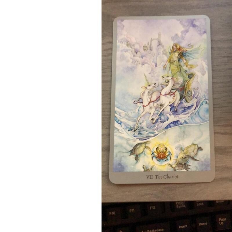 10.3*6cm Divination tarot Shadowscapes Tarot Deck Witch Divination Fate Fortune Telling Card Family Friend