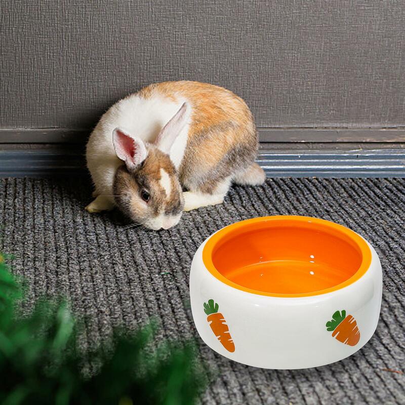 Non Slip Rabbit Feeder Bowl Hamster Ceramic Bowl Feeding Basin Bowl Cat Dog Food Bowl for Puppy Kitten Small Animals Birds