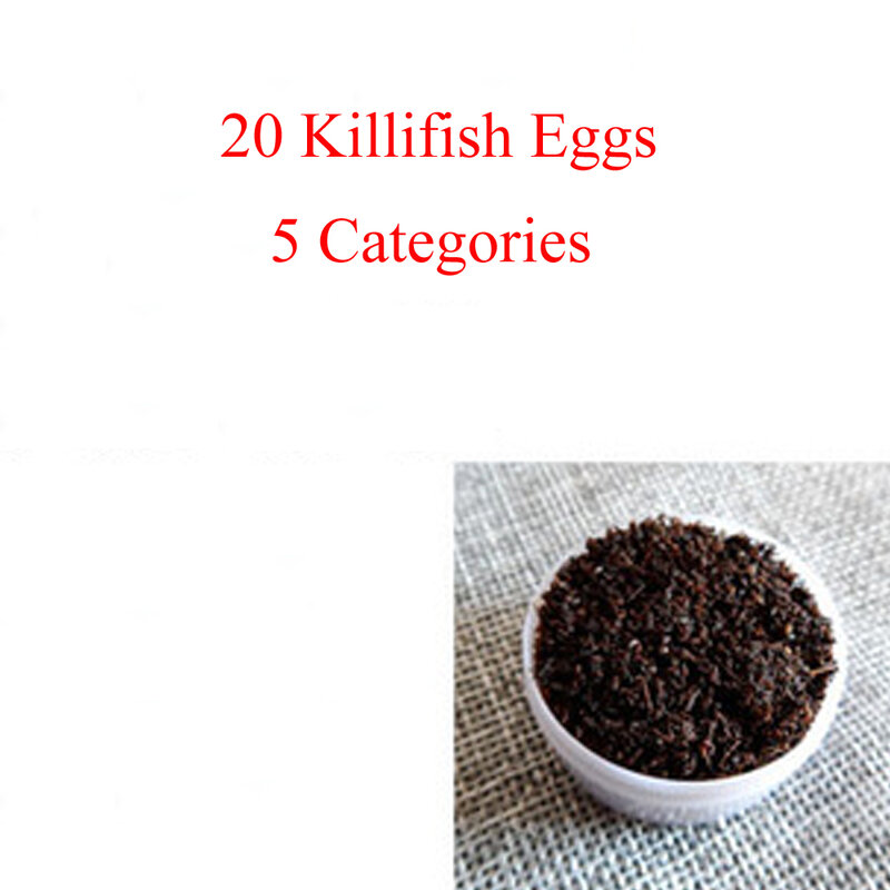 Killifishes Fishes Eggs for Children, solo mágico, água, killi fish, Medaka, brinquedos de Natal, 20 Eggs Lot, 60mm, L 2023