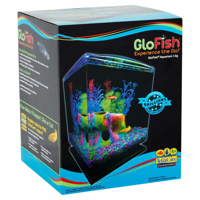 GloFish Betta Glass Aquarium Kit 1.5 Gallons, Easy Setup and Maintenance, Perfect Starter Tank