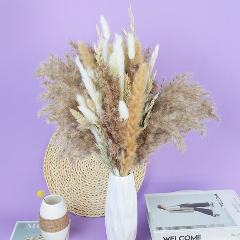 Natural Fluffy Dry Flowers Real Reed Grass Natural Dried Pampas Grass Decor Wedding Flower DIY Bohemian For Home Dekoration