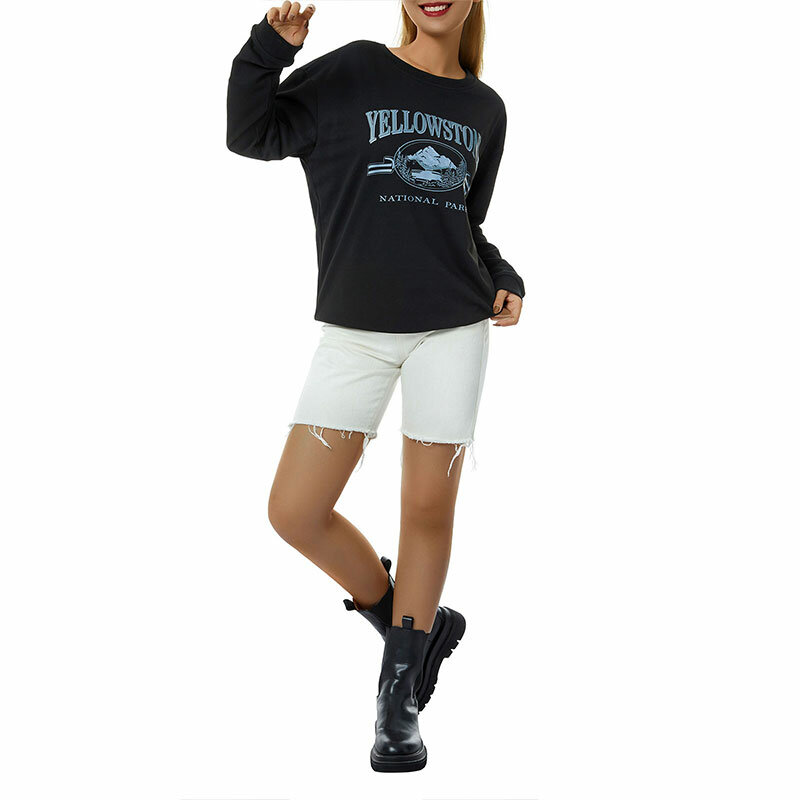 Женская Повседневная Толстовка Y2K с длинным рукавом, модный Свободный пуловер с буквенным принтом, свитшот, Осенние топы с круглым вырезом, 2023