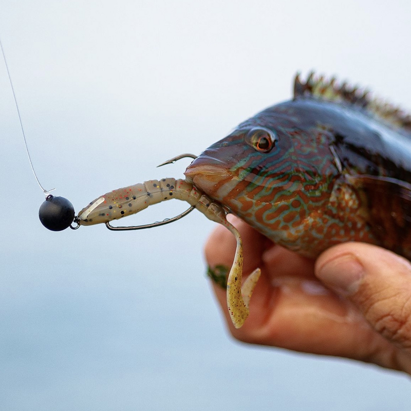 Elite TG 10PCS tungsteno Cheburashka Sinker Jig Head Weight,1G-30G Plain Bass Fishing Soft Worm Bait accessori