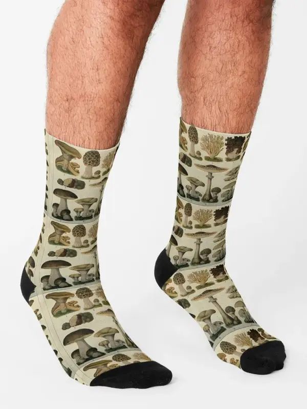 Cogumelos comestíveis dos homens antiderrapantes meias de luxo, meias marca designer para meninas