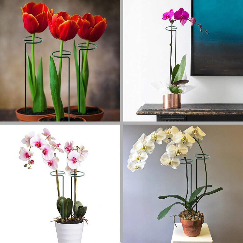 6pc Garten Bonsai Unterstützung Stake Stander Einzigen Stamm Strauch Halter Schmetterlinge Orchidee Sukkulenten Phalaenopsis Blume Vergossen Unterstützung