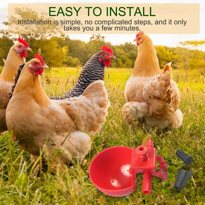 2024 New Automatic Chicken Water Cup Bird Coop Water Drinking Cups Feed Automatic Poultry Chicken Fowl Drinker Chicken Equipment