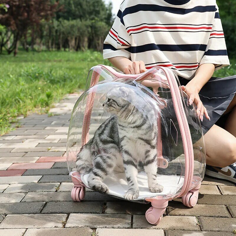Caja de carro portátil para mascotas, bolsa transparente completa, transpirable, para gato, novedad